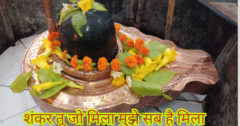 shankar tu jo mila