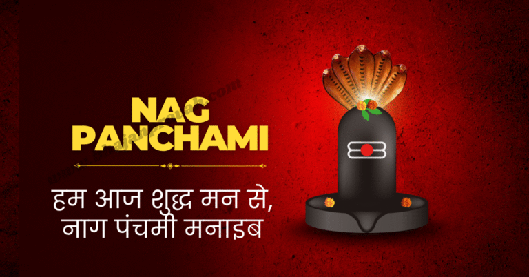 naag panchmi aaj manaib