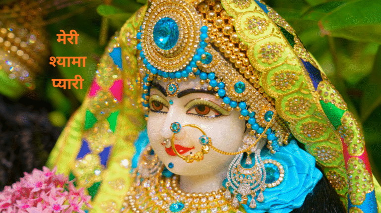 meri shyama pyari