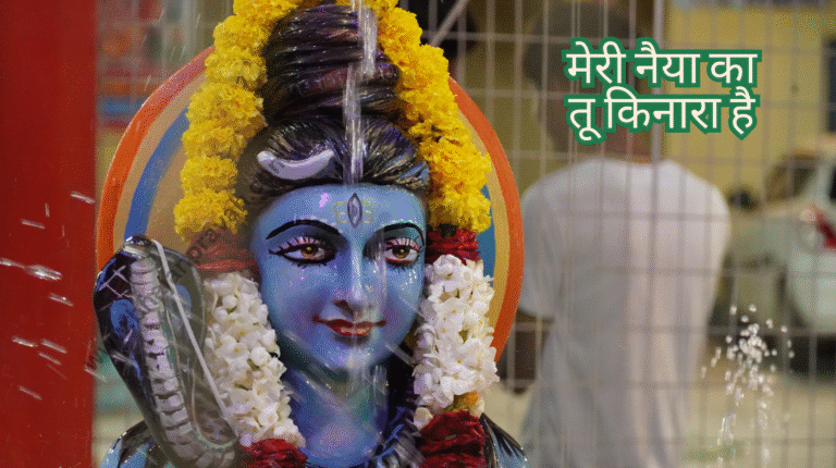 मेरी नैया का तू किनारा है