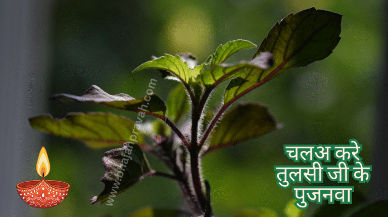 chala kare tulsi ji ke pujanwa