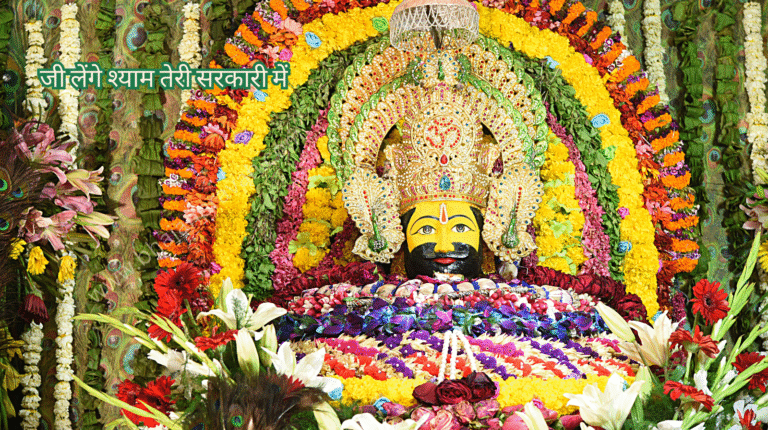 jee lenge sarkar teri sarkqri mein