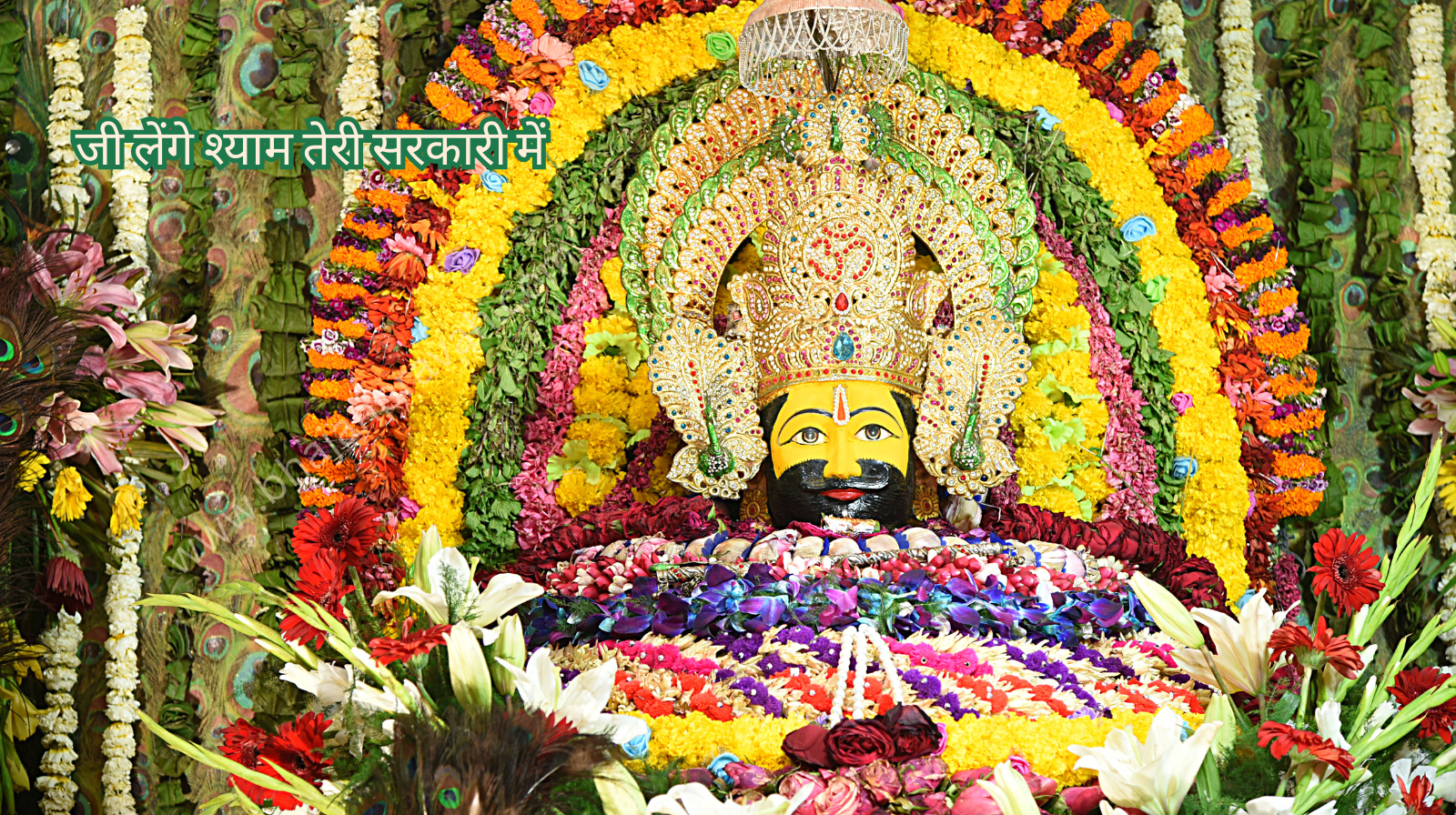 jee lenge sarkar teri sarkqri mein